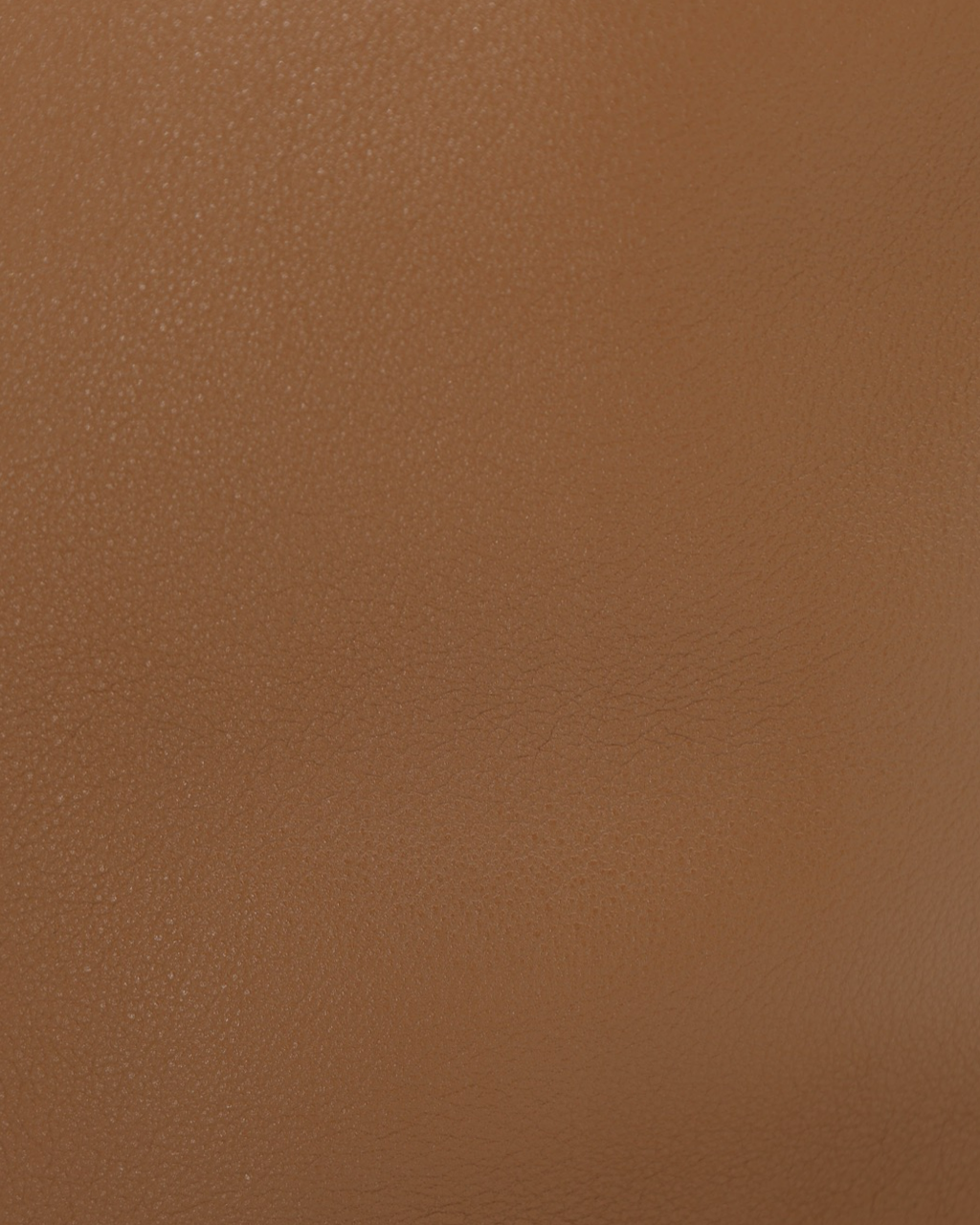 Prada Bucket Buckle Bag