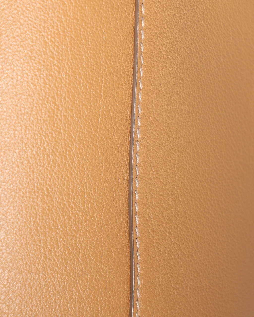 Prada Bucket Buckle Bag