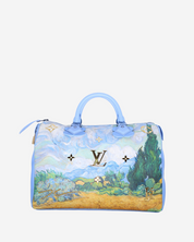 Louis Vuitton x Jeff Koons Speedy 30 Van Gogh Bag 2017