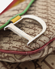 Bolso Dior Rasta Trotter Saddle 2004