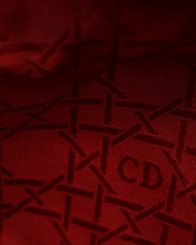 Bolso Lady Dior Nylon