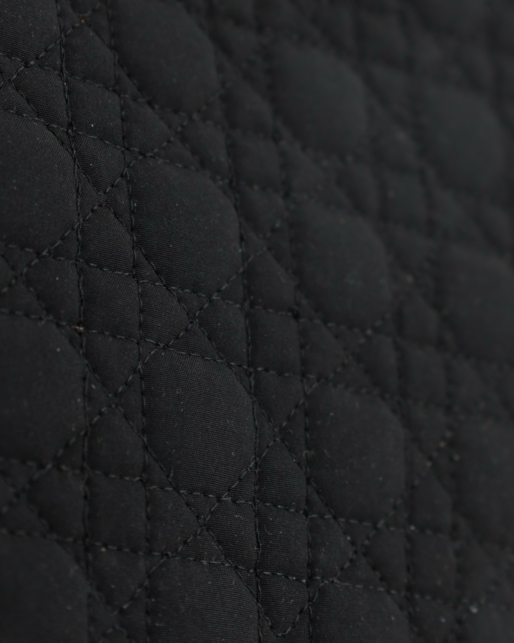 Lady Dior Nylon Bag