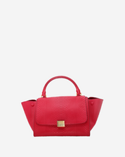 Celine Trapeze Python Bag