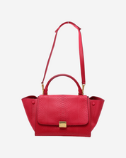 Celine Trapeze Python Bag