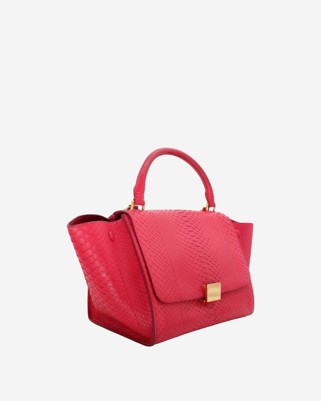 Celine Trapeze Python Bag