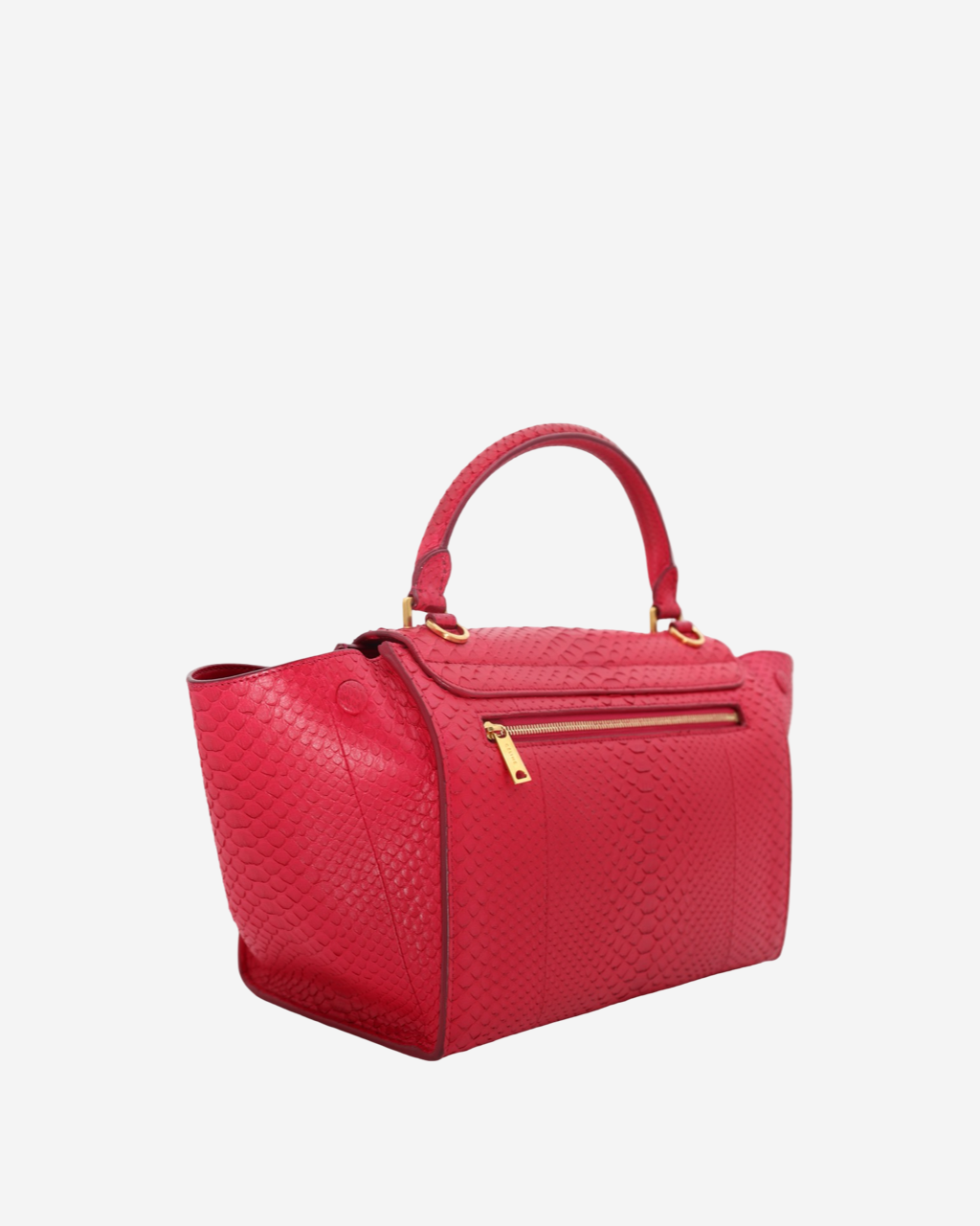 Celine Trapeze Python Bag