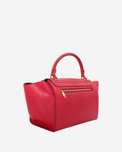 Celine Trapeze Python Bag