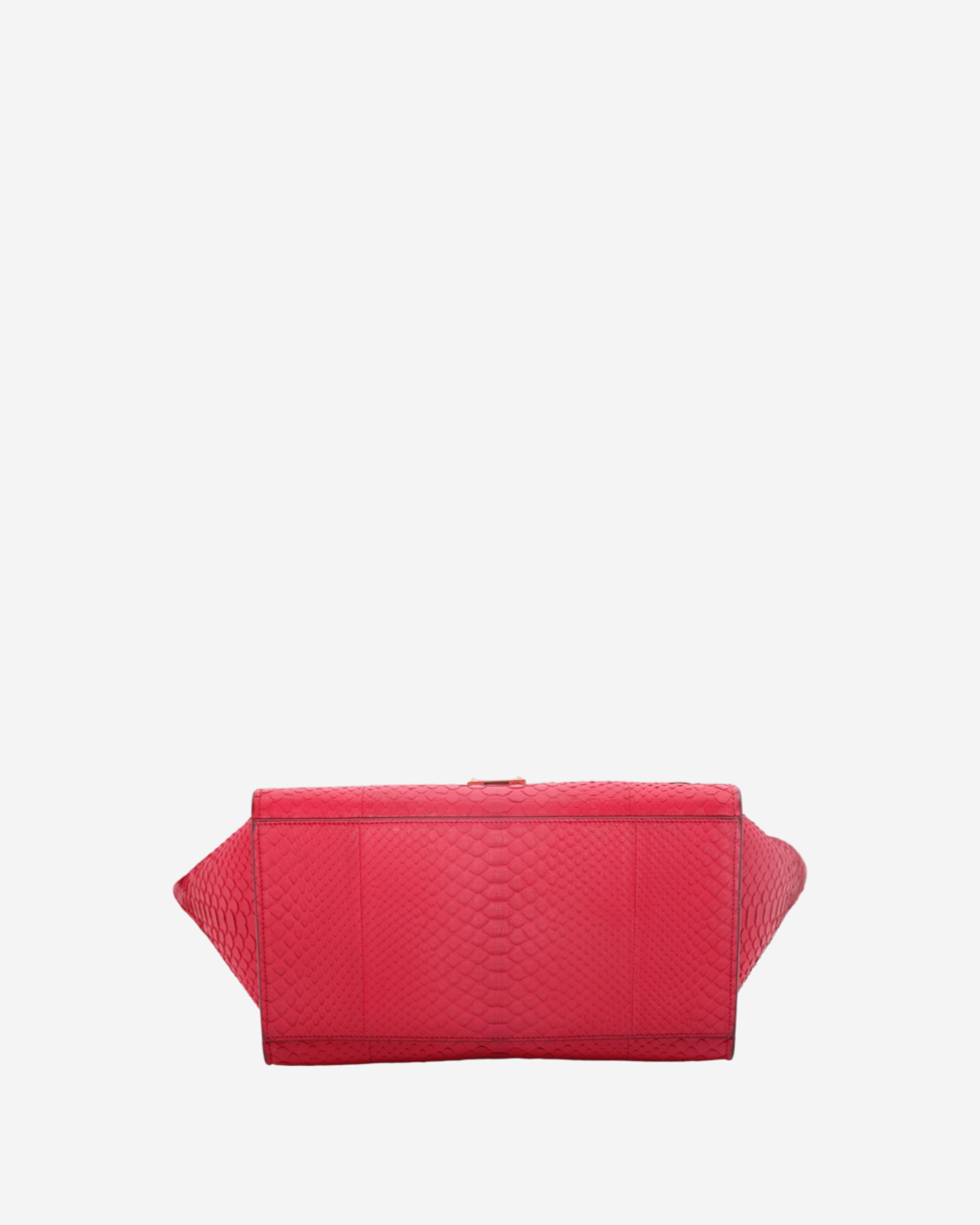 Celine Trapeze Python Bag