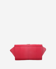 Celine Trapeze Python Bag