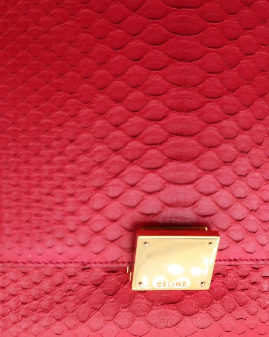 Celine Trapeze Python Bag
