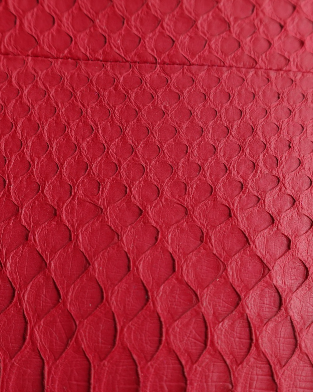 Celine Trapeze Python Bag