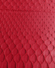 Celine Trapeze Python Bag