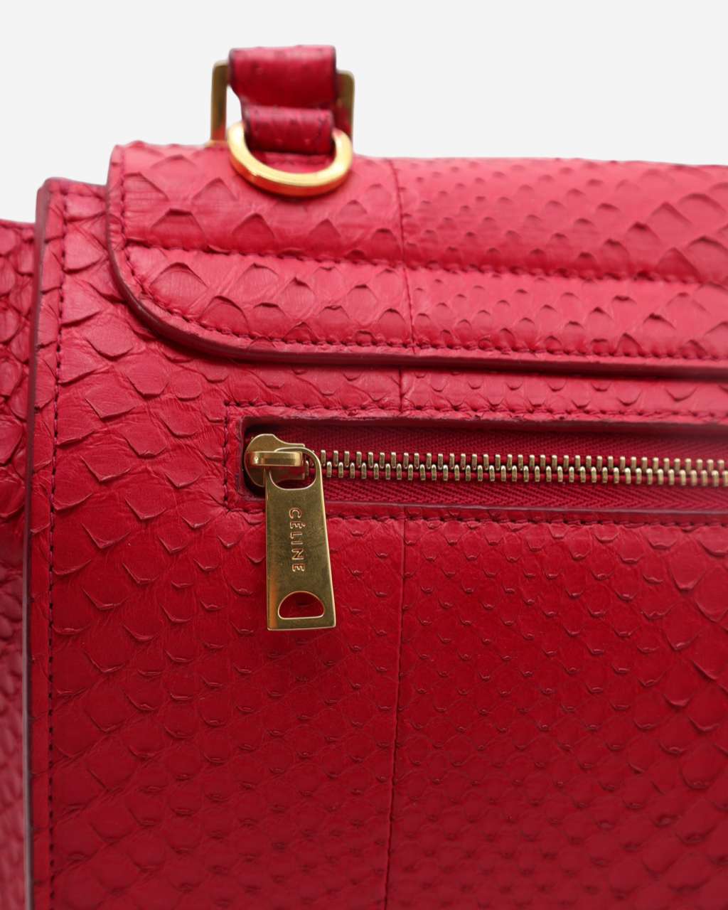 Celine Trapeze Python Bag