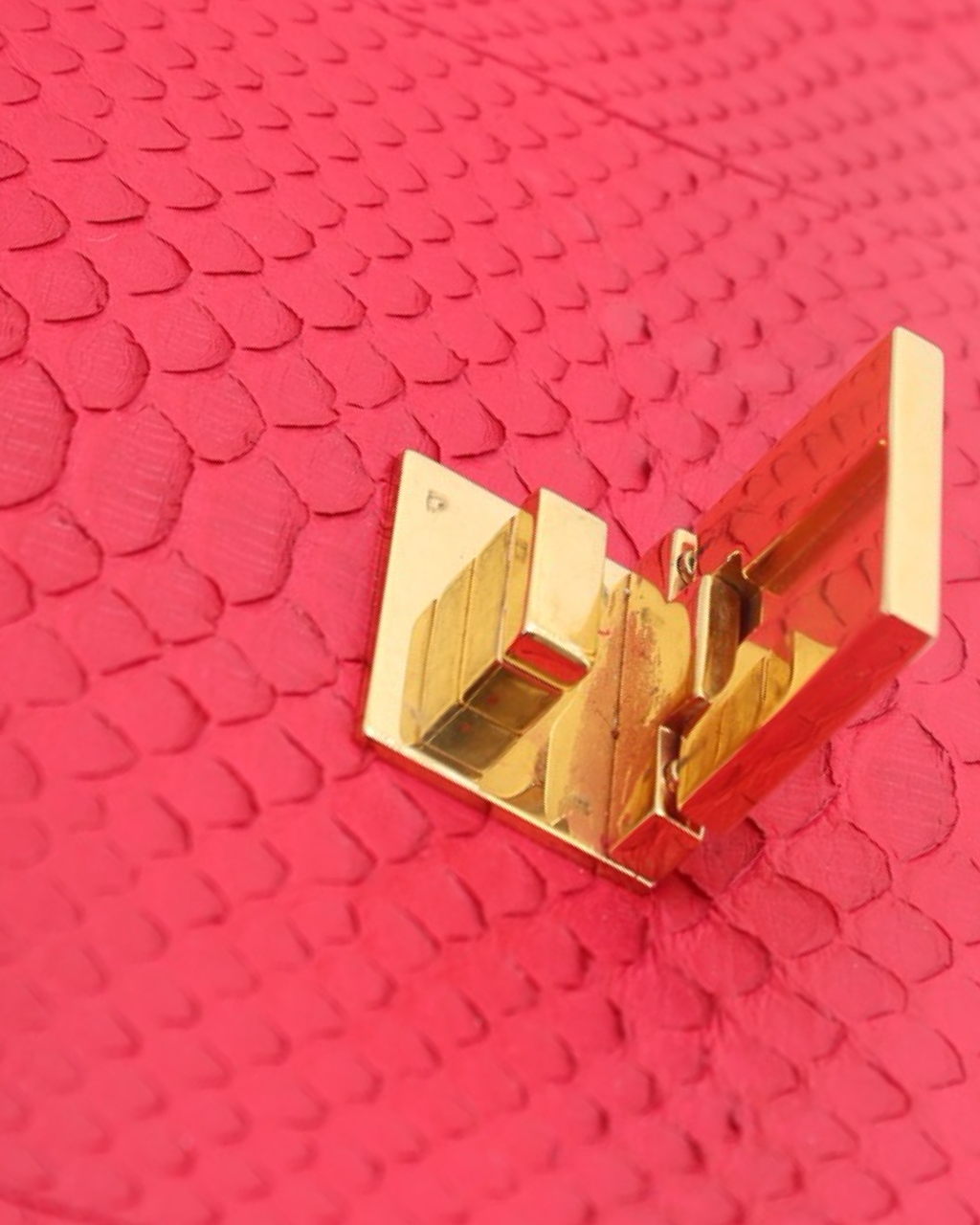 Celine Trapeze Python Bag