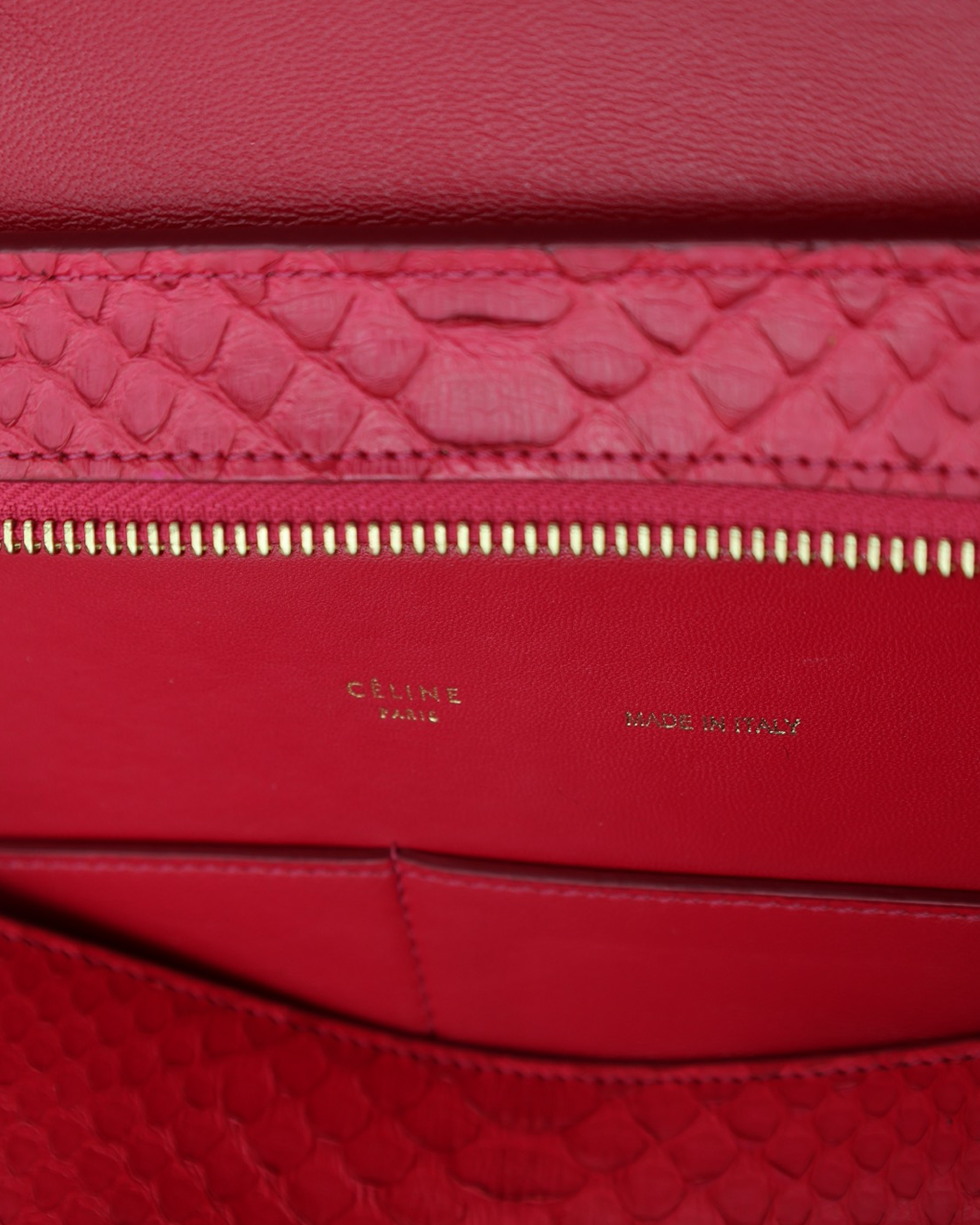 Celine Trapeze Python Bag