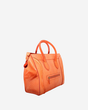 Celine Luggage Python Bag