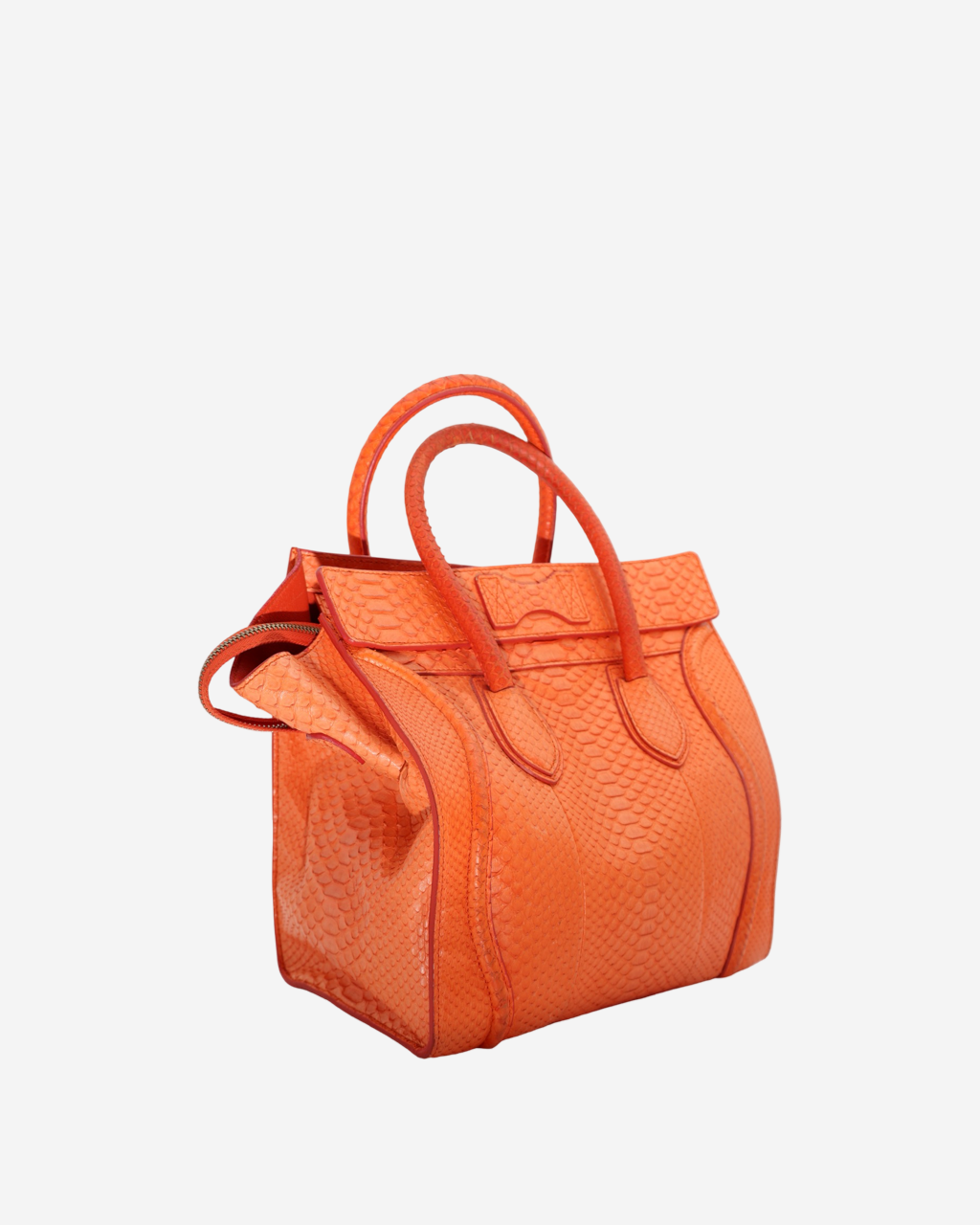 Celine Luggage Python Bag
