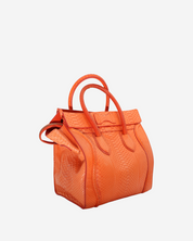Celine Luggage Python Bag
