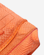 Celine Luggage Python Bag