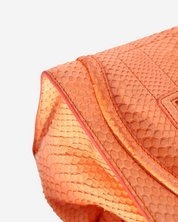 Celine Luggage Python Bag