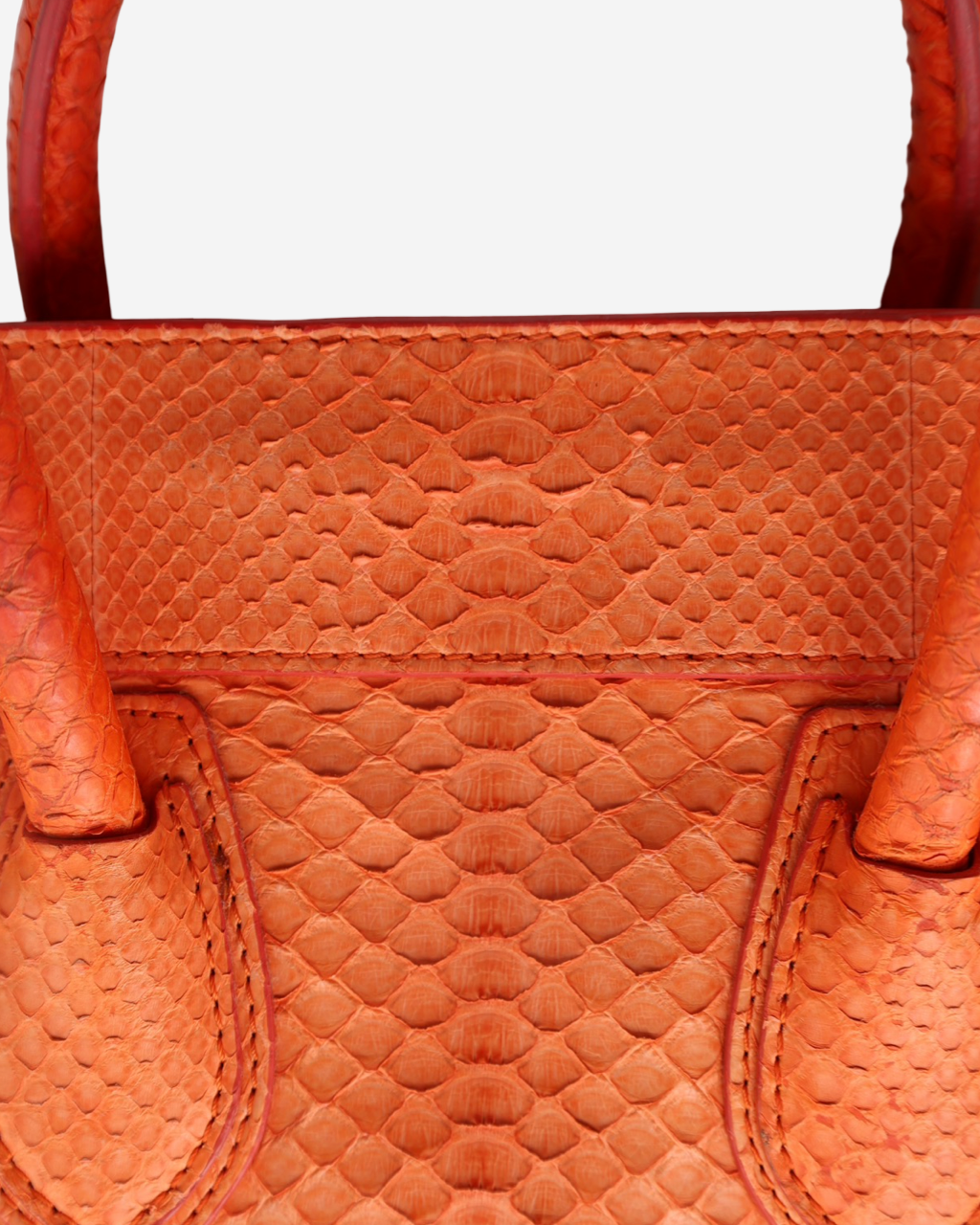 Celine Luggage Python Bag