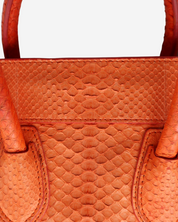 Celine Luggage Python Bag