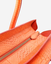 Celine Luggage Python Bag