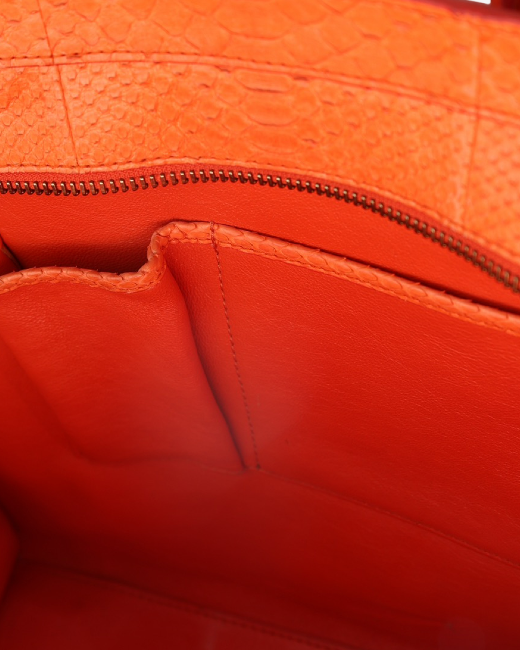 Celine Luggage Python Bag