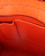 Celine Luggage Python Bag