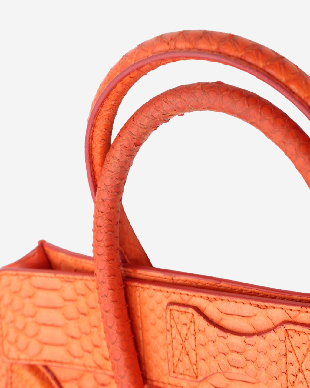 Celine Luggage Python Bag