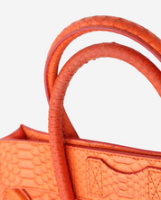 Celine Luggage Python Bag