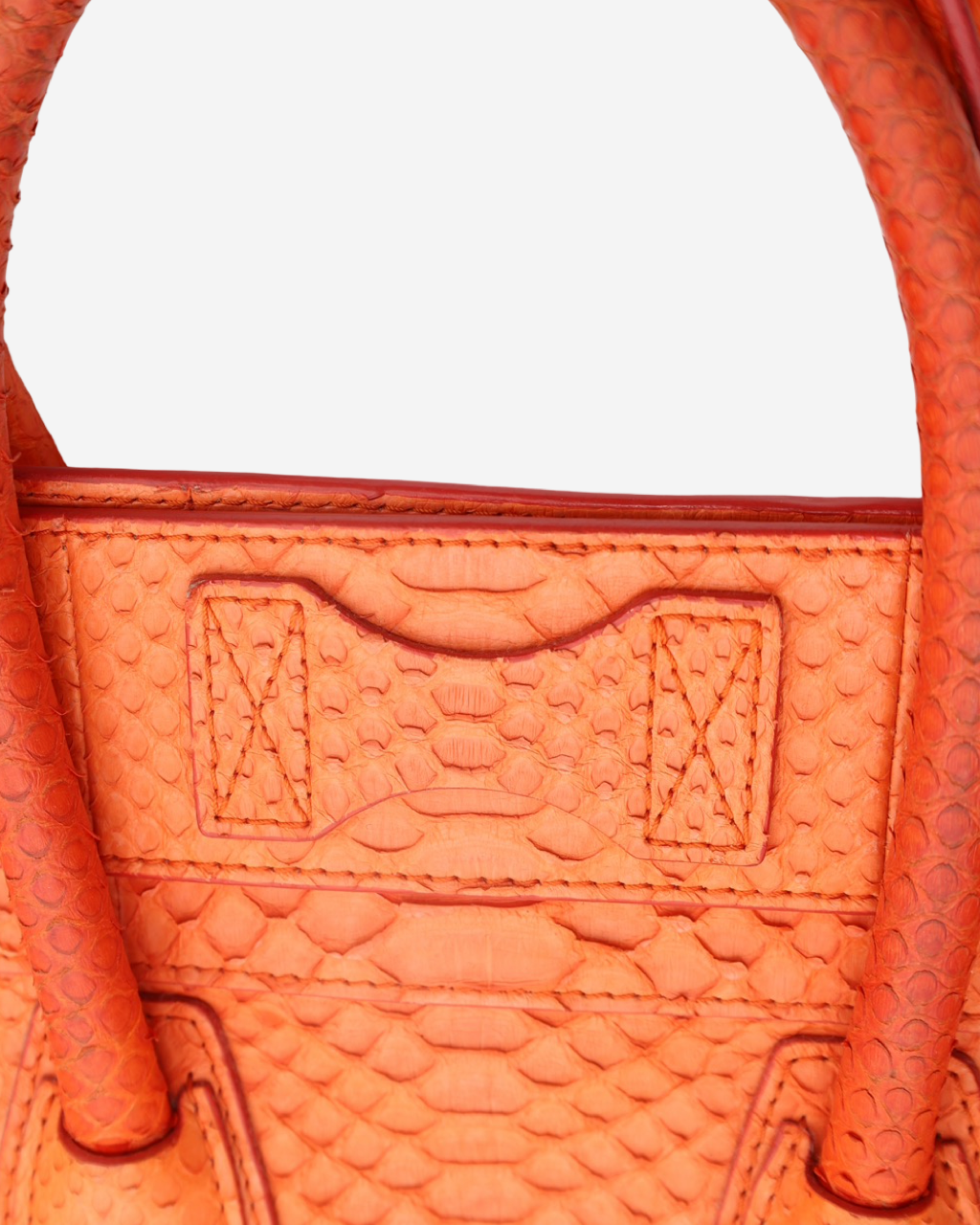 Celine Luggage Python Bag