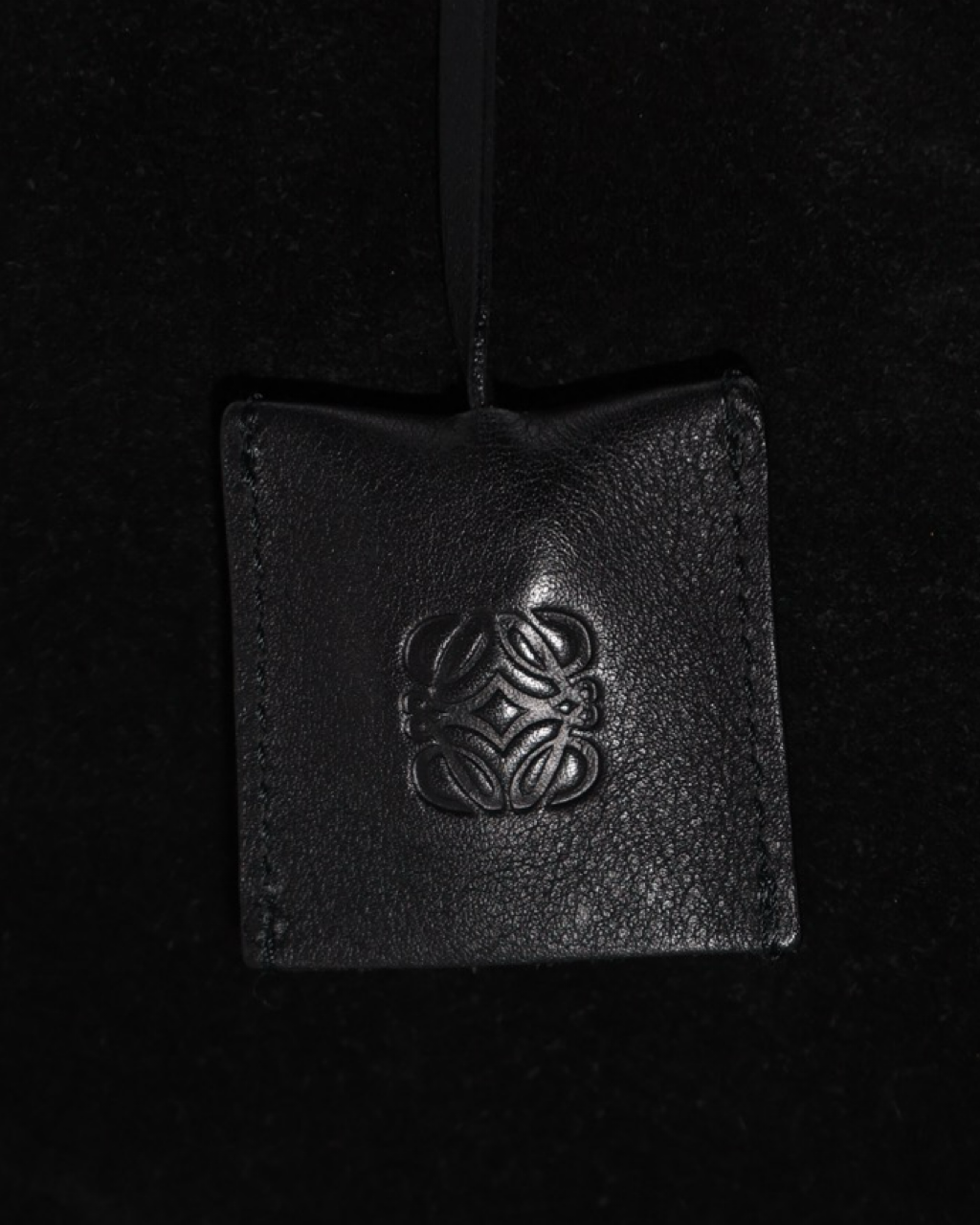 Loewe Amazona Bag