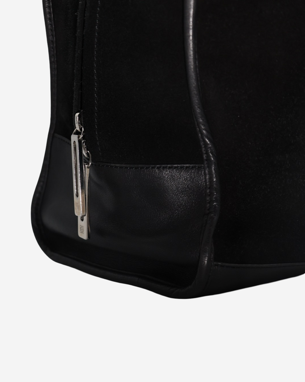 Loewe Amazona Bag