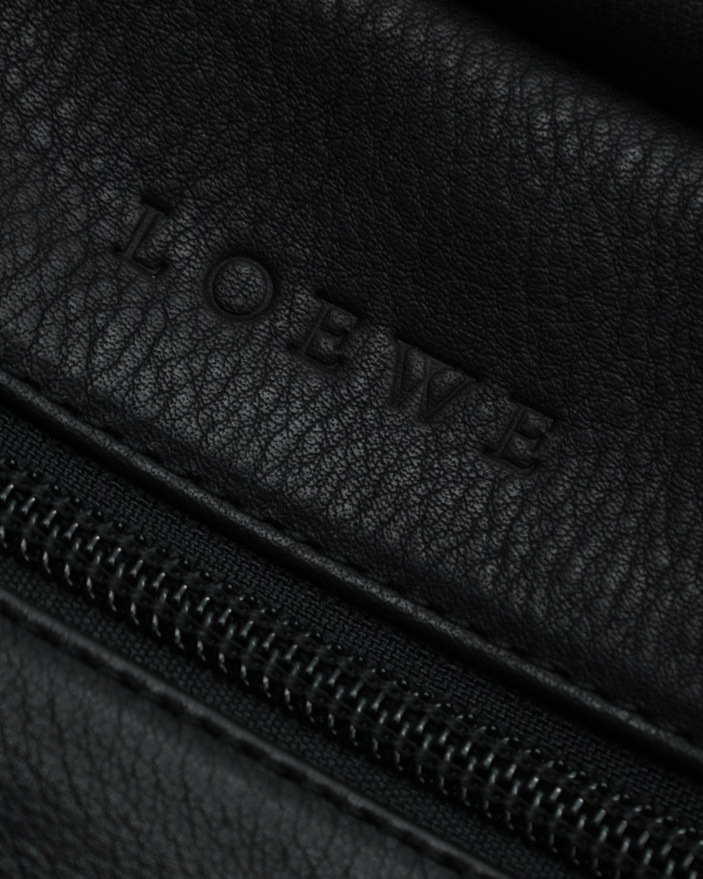 Loewe Amazona Bag