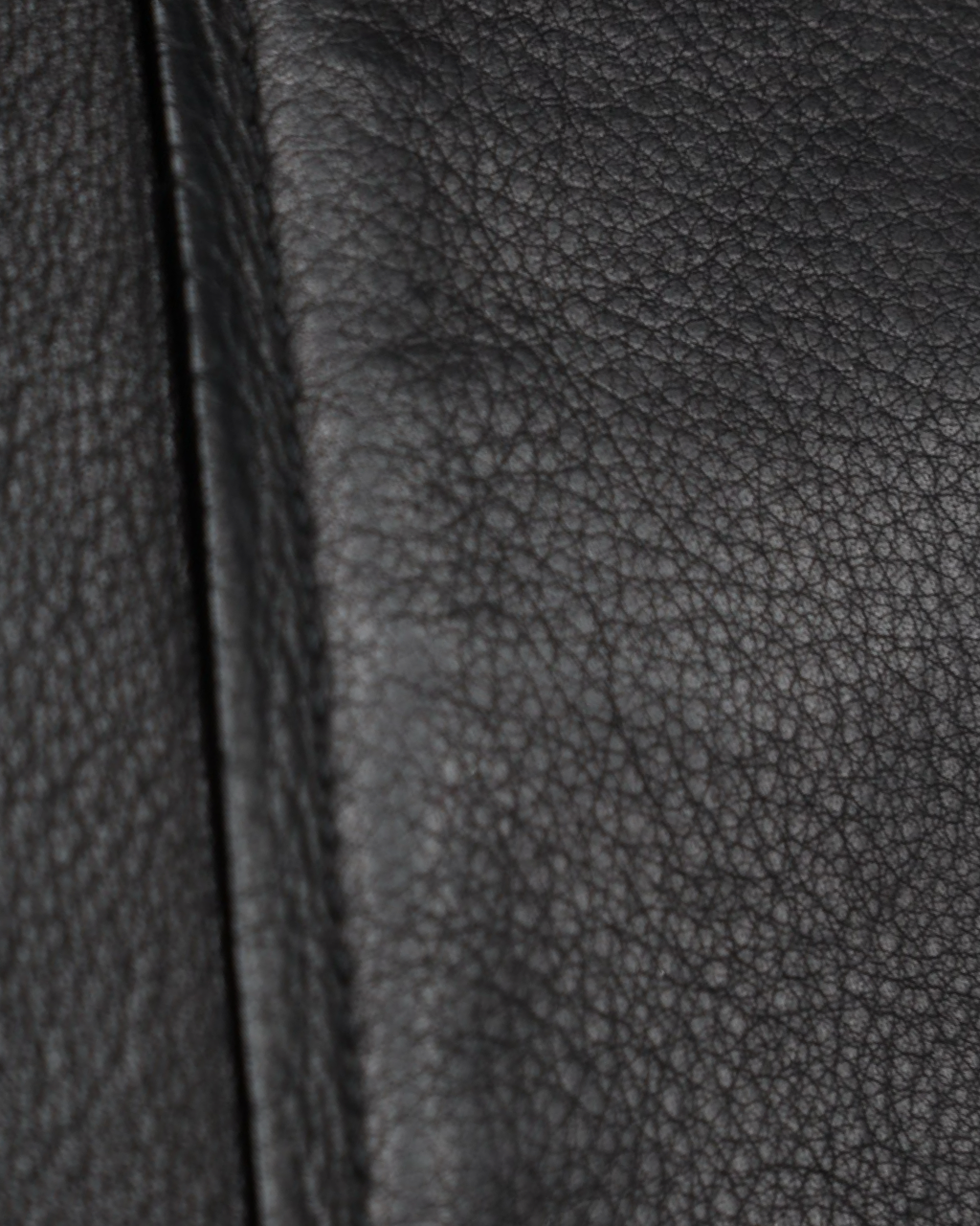 Loewe Amazona Bag
