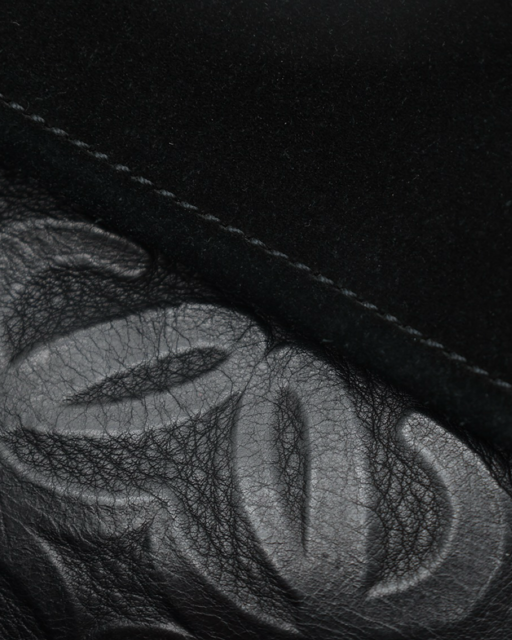 Loewe Amazona Bag
