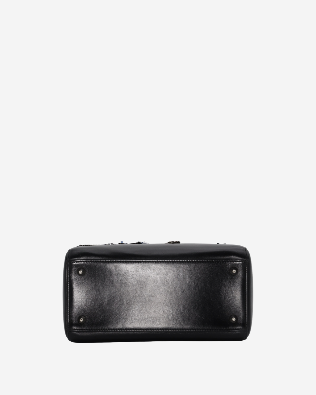 Lady Dior Dragonfly Embellished Bag 2016
