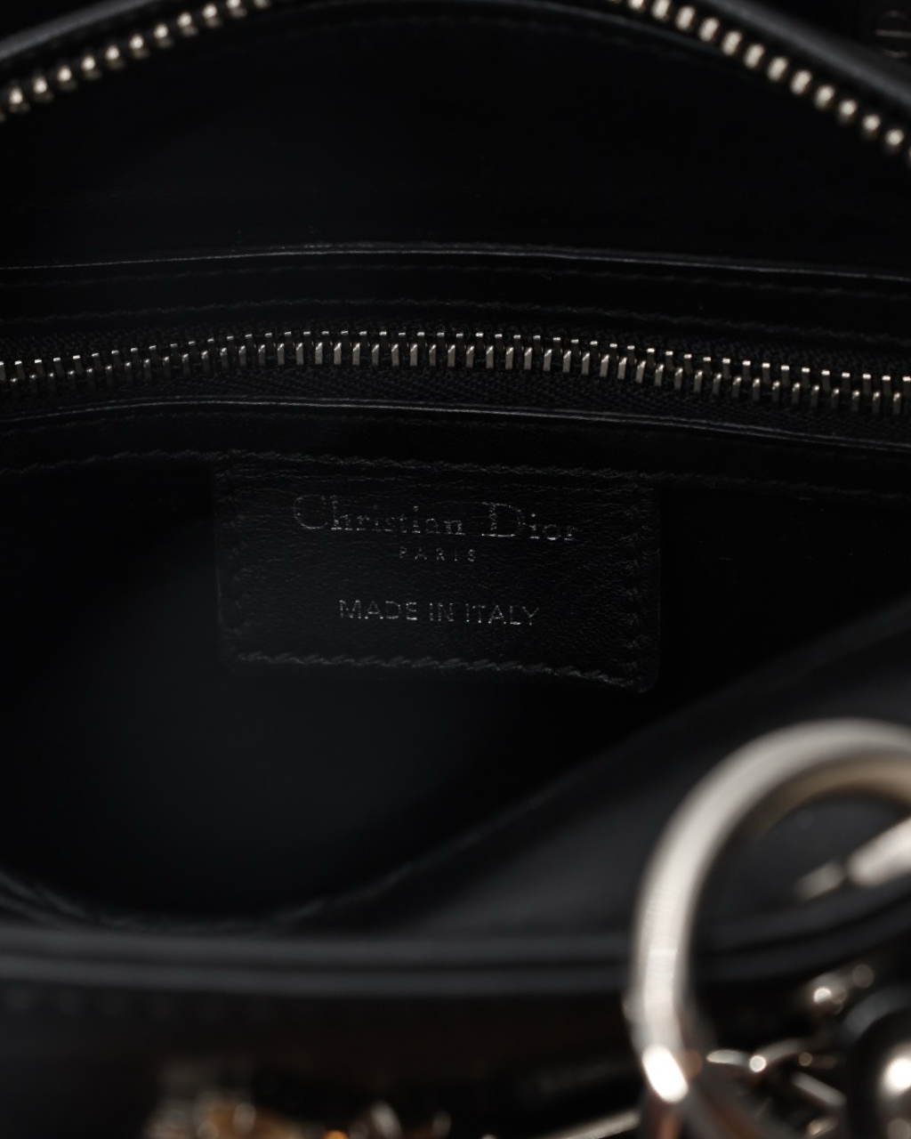 Lady Dior Dragonfly Embellished Bag 2016