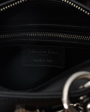 Lady Dior Dragonfly Embellished Bag 2016