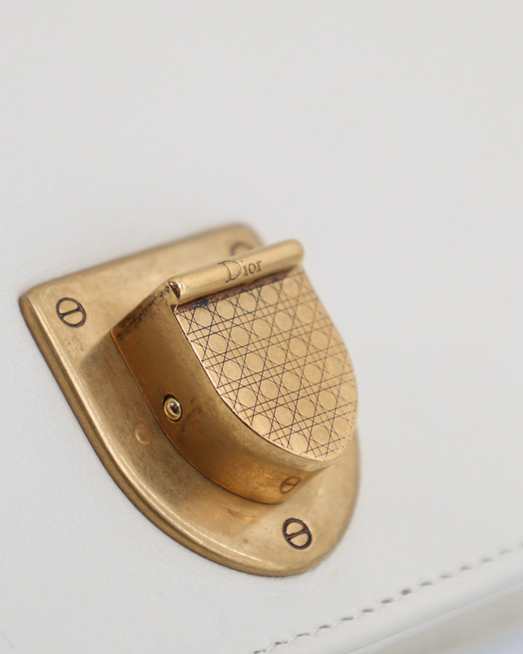 Dior Diorama Studded Bag