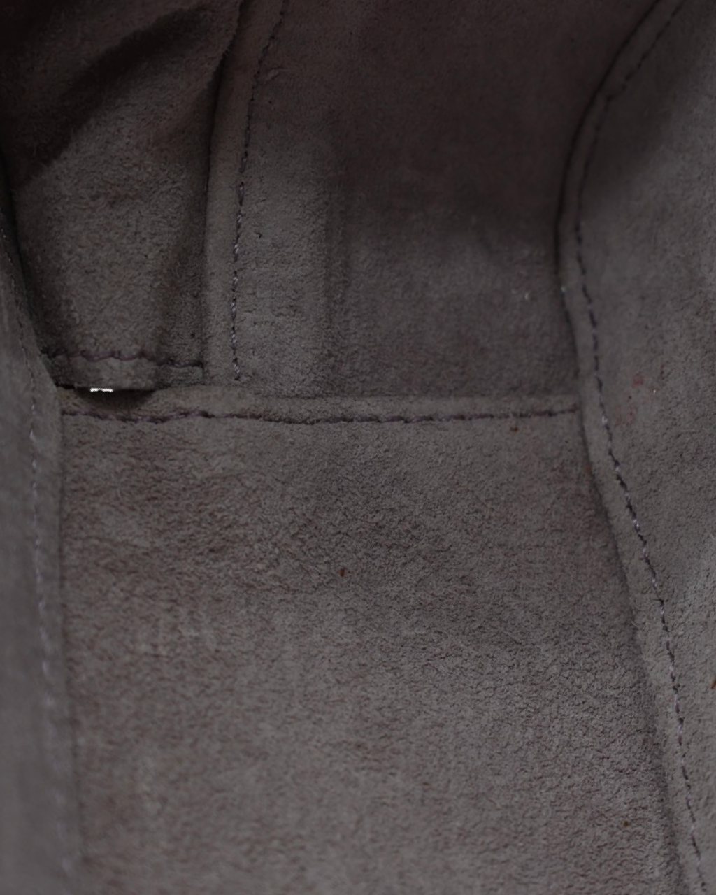 Celine Triomphe Half Moon Bag