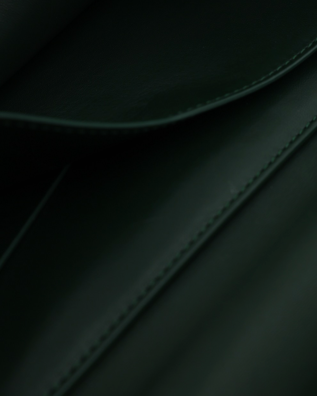 Bottega Veneta Mount Bag