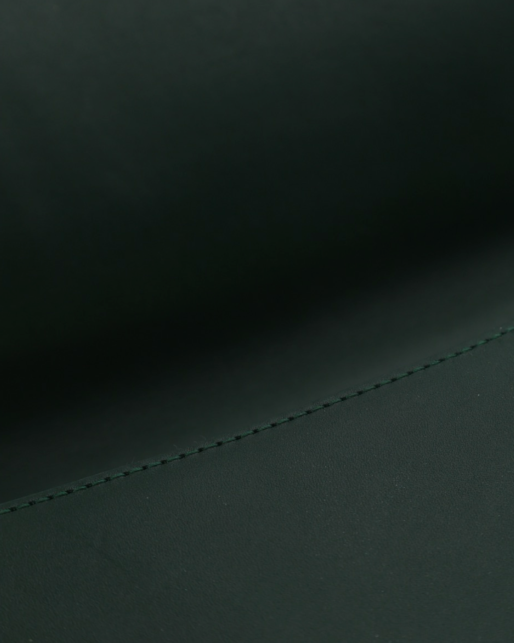 Bottega Veneta Mount Bag
