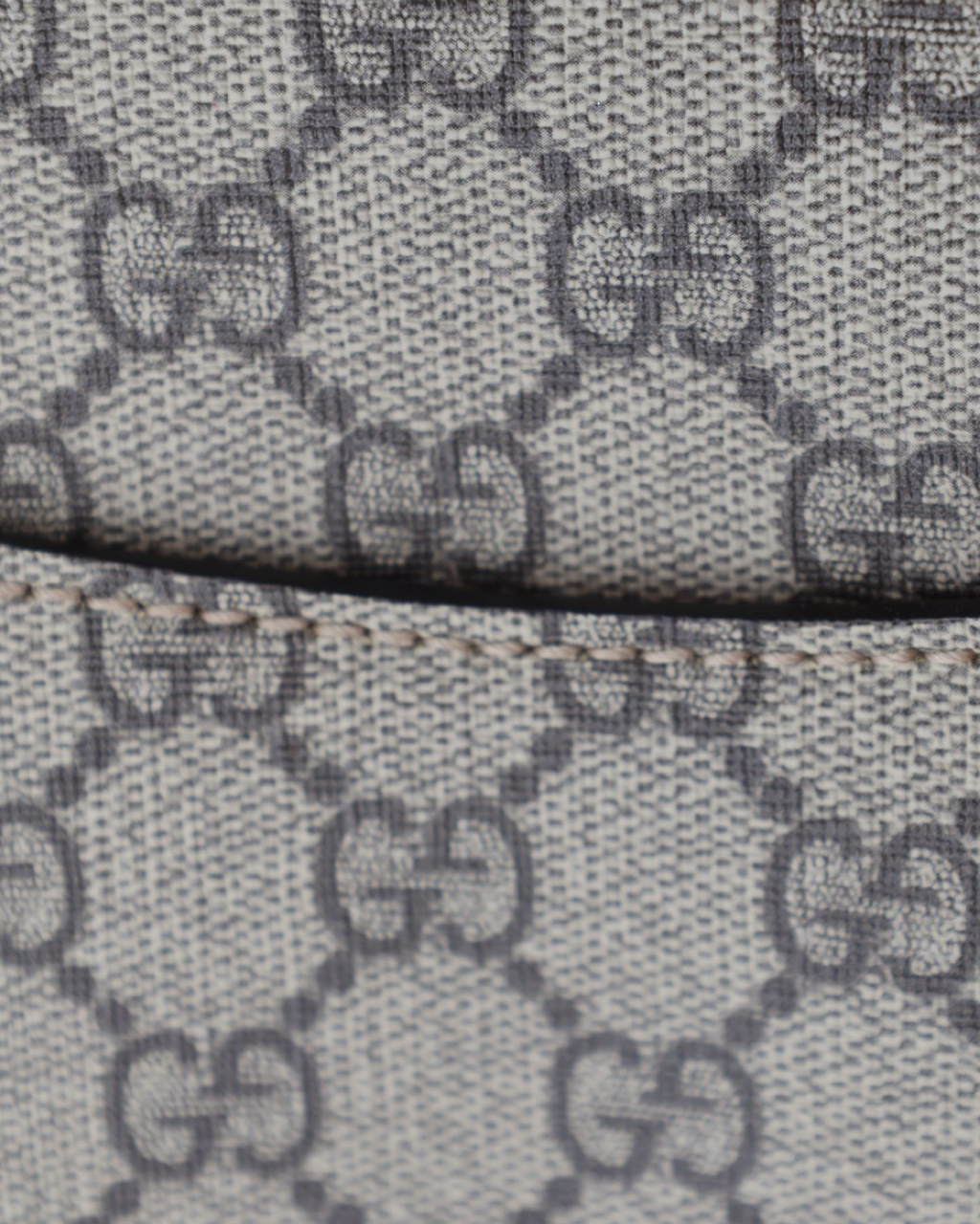 Bolso Gucci Dionysus GG Supreme 2019