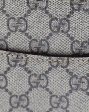 Bolso Gucci Dionysus GG Supreme 2019