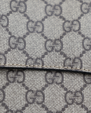 Bolso Gucci Dionysus GG Supreme 2019