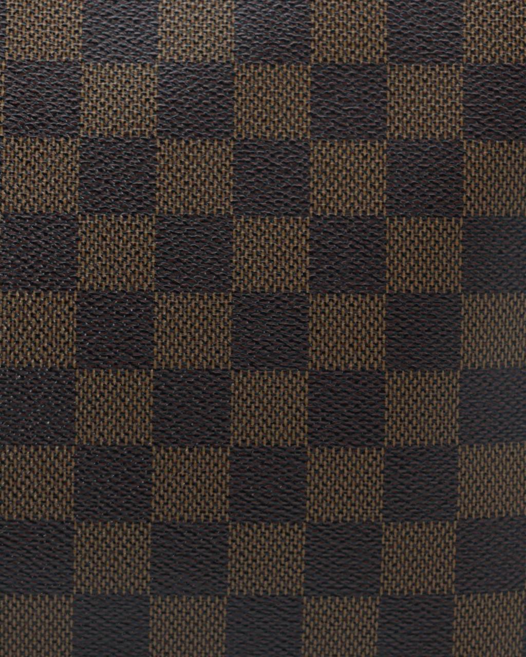 Bolso Louis Vuitton Neverfull Ebene MM 2009