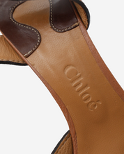 Chloé Pumps 38