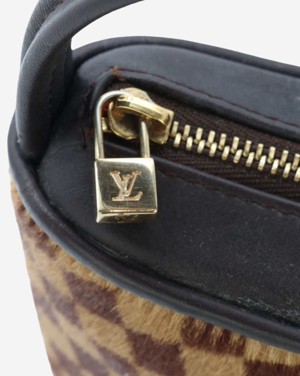 Bolso Louis Vuitton Damier Sauvage Tigre